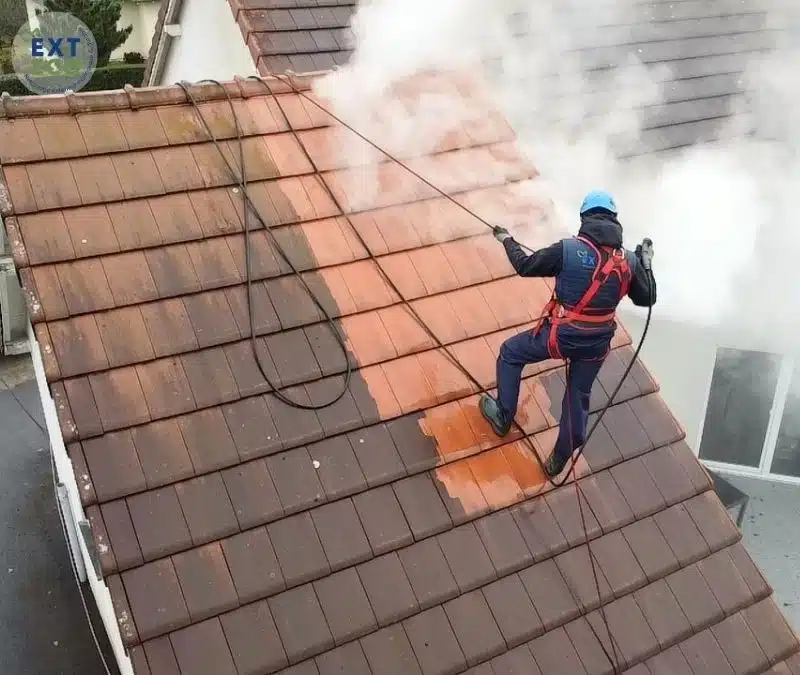 Démoussage de toiture à la vapeur basse pression